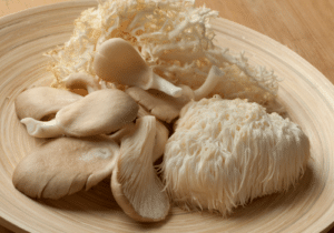 Mushrooms are grown from liquid cultures