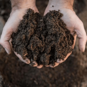 Soil Substrate