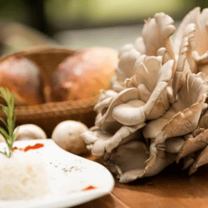 oyster mushrooms cooking recipe