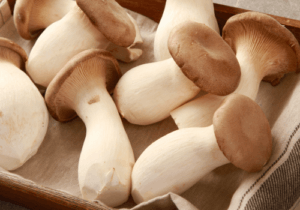Organic King Oyster mushroom Grow Kit