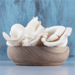 White oyster mushrooms in a bowl