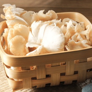 White oyster mushrooms in a basket